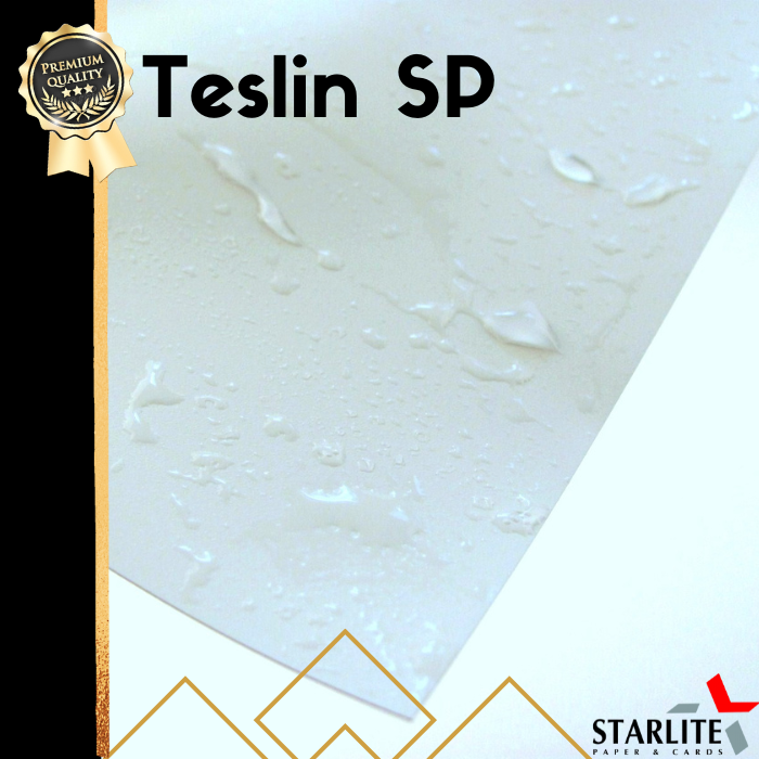 Teslin SP