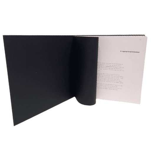 My Flat World Book (4)